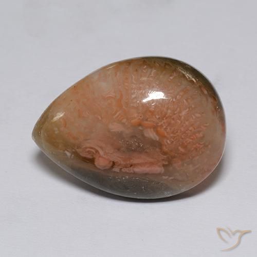 9.60ct Naturale Multicolore Corallo, Forma a pera, Traslucido