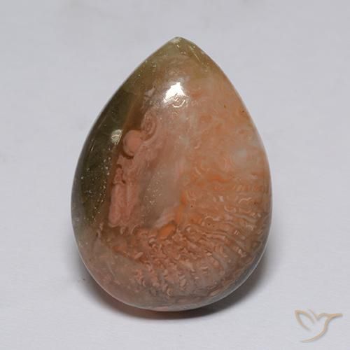 Corallo Multicolore naturale da 9.60 ct, Forma a pera, Traslucido