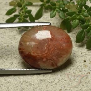 Corallo Multicolore naturale da 9.58 ct, Ovale, Traslucido