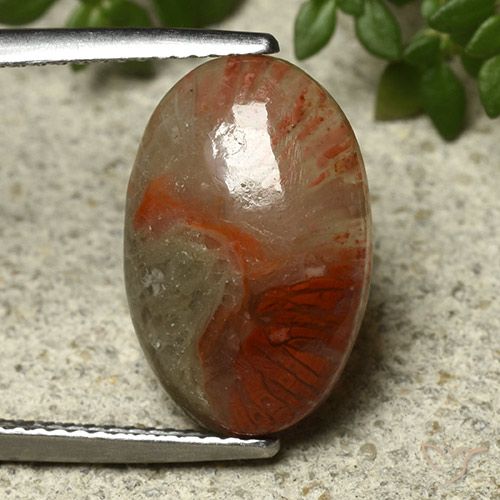 Corallo naturale multicolore da 5,91 ct, taglio ovale, traslucido