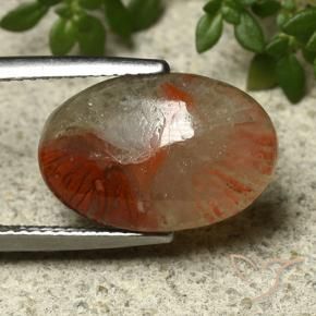 Corallo naturale multicolore da 5,91 ct, taglio ovale, traslucido