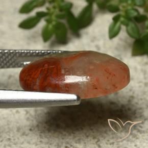 Corallo naturale multicolore da 5,91 ct, taglio ovale, traslucido