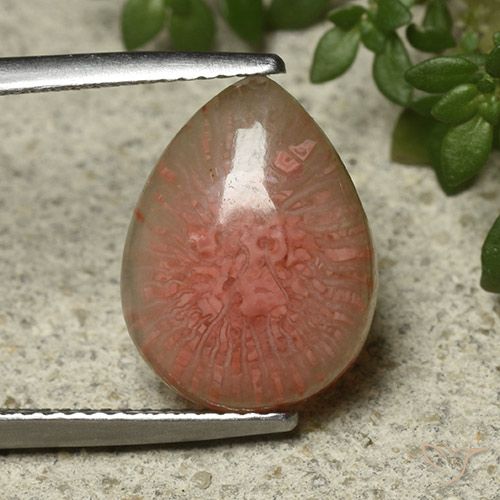 5.12ct Naturale Multicolore Corallo, Forma a pera, Traslucido, Photo A