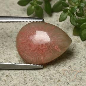 Corallo Multicolore naturale da 5.12 ct, Forma a pera, Traslucido