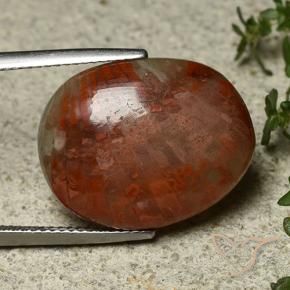 Corallo Multicolore naturale da 14.74 ct, Ovale, Opaco