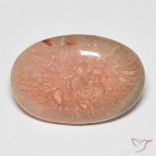 11.50ct Naturale Multicolore Corallo, Ovale, Traslucido