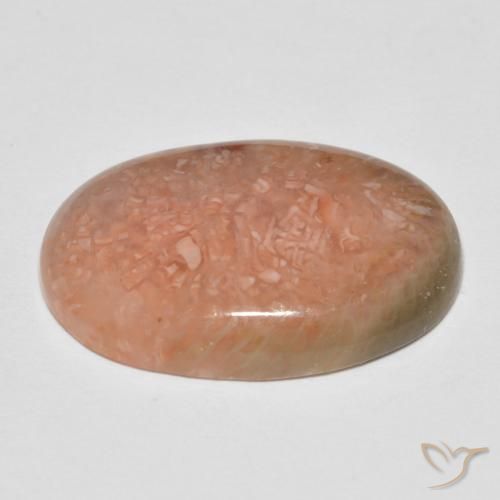 Corallo Multicolore naturale da 11.50 ct, Ovale, Traslucido
