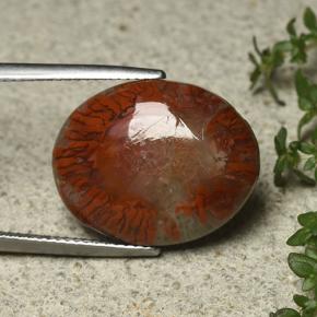 Corallo Multicolore naturale da 12.59 ct, Taglio ovale, Opaco