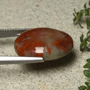 Corallo Multicolore naturale da 12.59 ct, Taglio ovale, Opaco