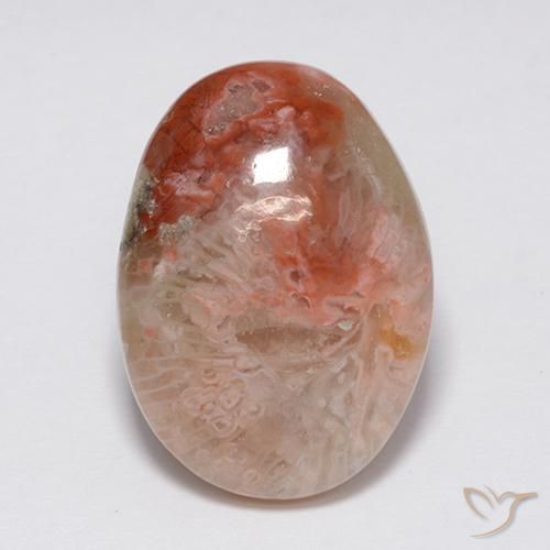 8.90ct Naturale Multicolore Corallo, Ovale, Opaco