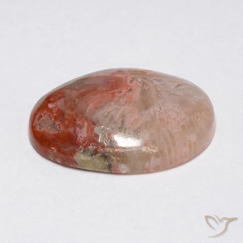 Corallo Multicolore naturale da 8.90 ct, Ovale, Opaco