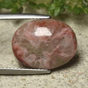 Corallo Multicolore naturale da 6.22 ct, Ovale, Opaco