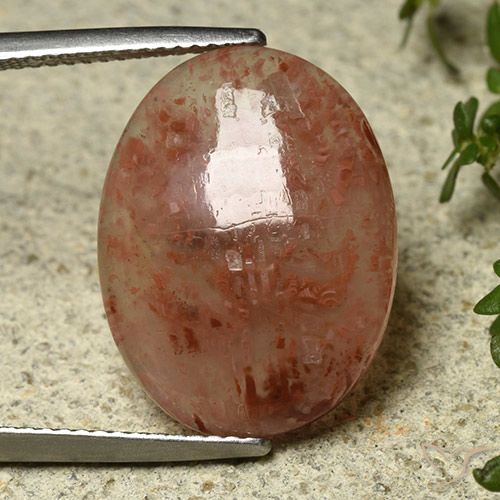 9.08ct Naturale Multicolore Corallo, Ovale, Traslucido