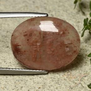Corallo Multicolore naturale da 9.08 ct, Ovale, Traslucido