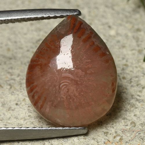 6.87ct Naturale Multicolore Corallo, Forma a pera, Traslucido