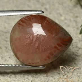 Corallo Multicolore naturale da 6.87 ct, Forma a pera, Traslucido