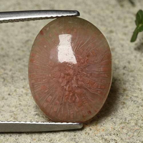7.81ct Naturale Multicolore Corallo, Ovale, Traslucido, Photo A