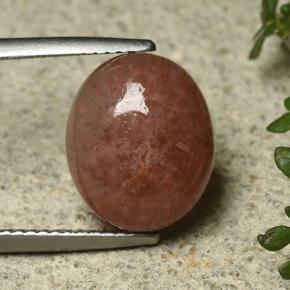 Corallo Multicolore naturale da 6.35 ct, Taglio ovale, Traslucido