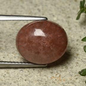 Corallo Multicolore naturale da 6.35 ct, Taglio ovale, Traslucido