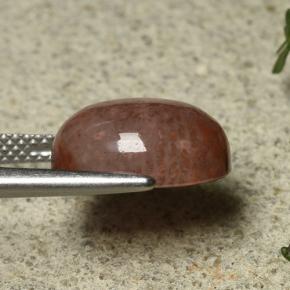 Corallo Multicolore naturale da 6.35 ct, Taglio ovale, Traslucido