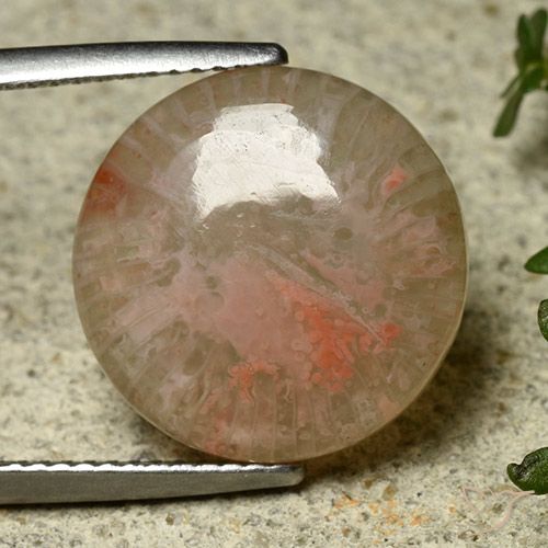8.34ct Naturale Multicolore Corallo, Rotondo, Traslucido, Photo A
