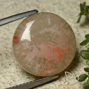 Corallo Multicolore naturale da 8.34 ct, Rotondo, Traslucido