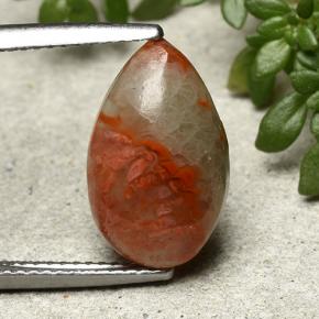 Corallo Multicolore naturale da 4.83 ct, Forma a pera, Traslucido