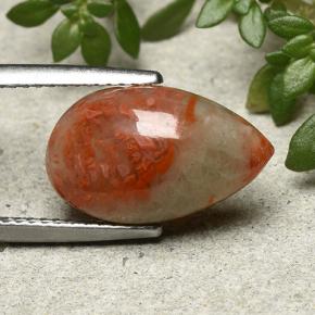 Corallo Multicolore naturale da 4.83 ct, Forma a pera, Traslucido