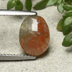 Corallo Multicolore naturale da 1.88 ct, Taglio ovale, Traslucido