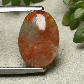 Corallo Multicolore naturale da 2.54 ct, Taglio ovale, Traslucido