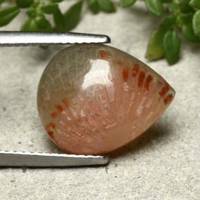 Corallo Multicolore naturale da 5.26 ct, Forma a pera, Traslucido