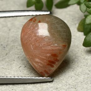 Corallo Multicolore naturale da 5.26 ct, Forma a pera, Traslucido