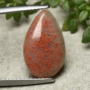 Corallo naturale multicolore da 3,94 ct, taglio a pera, traslucido
