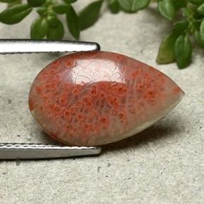 Corallo naturale multicolore da 3,94 ct, taglio a pera, traslucido