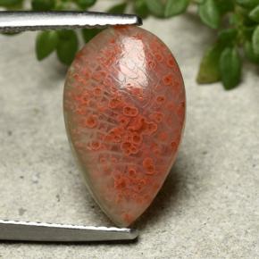 Corallo naturale multicolore da 3,94 ct, taglio a pera, traslucido