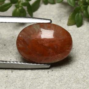 Corallo Multicolore naturale da 4.35 ct, Taglio ovale, Traslucido