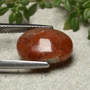 Corallo Multicolore naturale da 4.35 ct, Taglio ovale, Traslucido