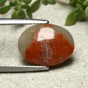 Corallo naturale multicolore da 3,86 ct, taglio ovale, opaco