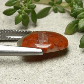 Corallo naturale multicolore da 3,86 ct, taglio ovale, opaco
