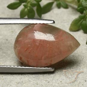 Corallo Multicolore naturale da 6.28 ct, Forma a pera, Traslucido