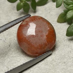 Corallo naturale multicolore da 4,21 ct, taglio rotondo, traslucido