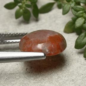 Corallo naturale multicolore da 4,21 ct, taglio rotondo, traslucido
