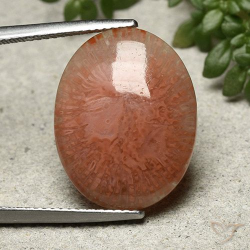 9.51ct Naturale Multicolore Corallo, Ovale, Traslucido