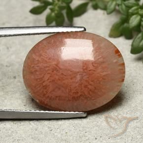 Corallo Multicolore naturale da 9.51 ct, Ovale, Traslucido