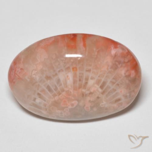 11.96ct Naturale Multicolore Corallo, Ovale, Opaco
