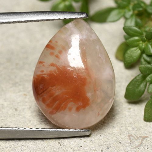 6.43ct Naturale Multicolore Corallo, Forma a pera, Traslucido