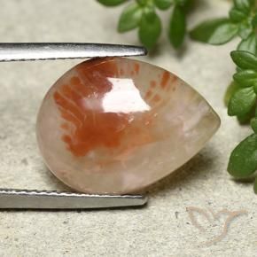 Corallo Multicolore naturale da 6.43 ct, Forma a pera, Traslucido