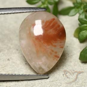 Corallo Multicolore naturale da 6.43 ct, Forma a pera, Traslucido