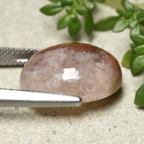 Corallo Multicolore naturale da 12.54 ct, Taglio ovale, Traslucido