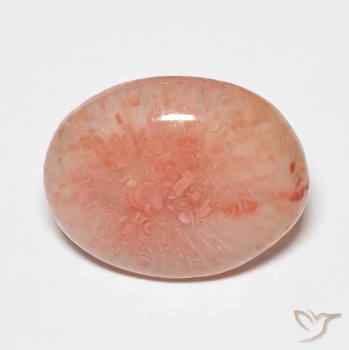 7.43ct Naturale Multicolore Corallo, Ovale, Traslucido